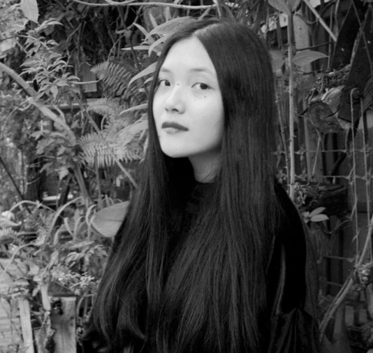 Đặng Thùy Anh